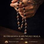 🔥 Original Karungali Rudraksha Combination Mala | 54 Beads (German Silver) | 6-8 mm | Unisex
