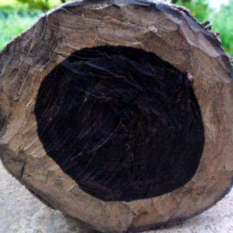 🔮 Karungali Bracelet – Lab Certified | Pure Ebony Wood | 23–26 Beads (6–8 mm)