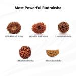 ॐ Original Nepal Origin 5 Mukhi (Panchmukhi) Rudraksha With Certificate ॐ
