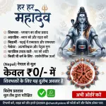 ॐ Original Nepal Origin 5 Mukhi (Panchmukhi) Rudraksha With Certificate ॐ