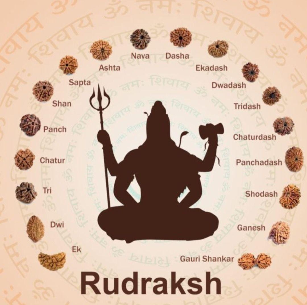Rudraksha