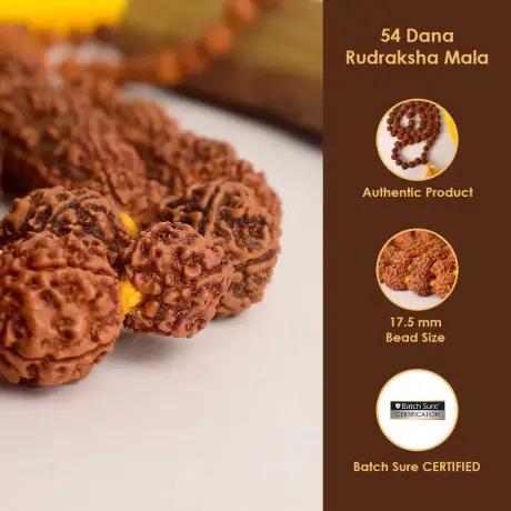 🔱 Charutty – 5 Mukhi Rudraksha Mala (54  to 108 Beads) | 17-22 mm 🔱