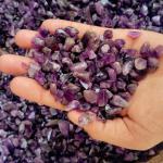 ✨ Charutty Authentic Amethyst Chips Stone  | Lab Certified✨